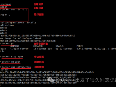 使用Docker搭建Zpan网盘（修改版）