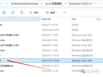 新版BurpSuite v2025.6.3汉化版，附激活教程