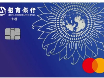国内用户 Codex 订阅与使用指南