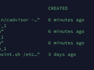 Docker进阶-容器监控cAdvisor+InfluxDB+Granfana