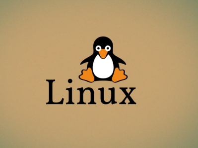 【Linux学习】装系统必备网络工具包 net-tools