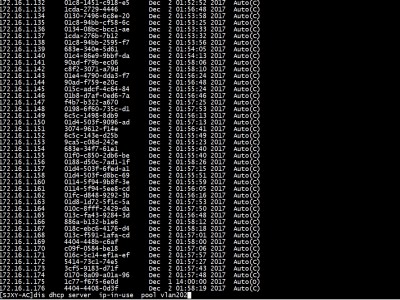 通过命令dis dhcp server ip-in-use pool xxx