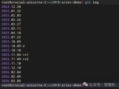 NAS玩转核显虚拟化：Intel 12代SR-IOV直通实战
