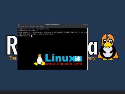 再也不怕 Linux 系统翻车！Rescuezilla 2.6.1 重磅更新上线