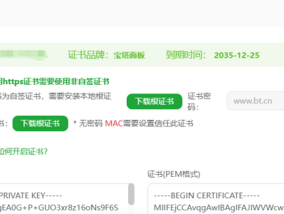 Let’s Encrypt 正式支持IP证书，但我却准备放弃使用了