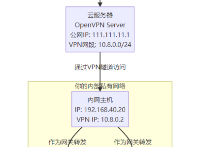 远程访问内网难题？OpenVPN打通云服务器与本地虚拟机