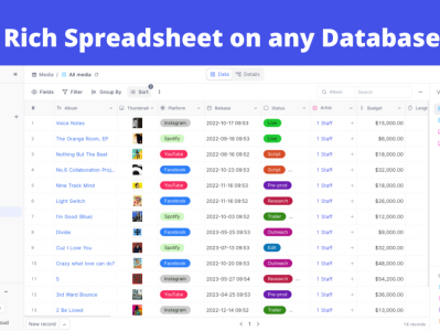 一款开源低代码可视化数据库管理神器