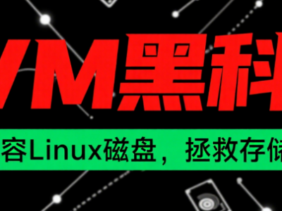 无感扩容Linux磁盘？LVM黑科技让你告别存储焦虑！