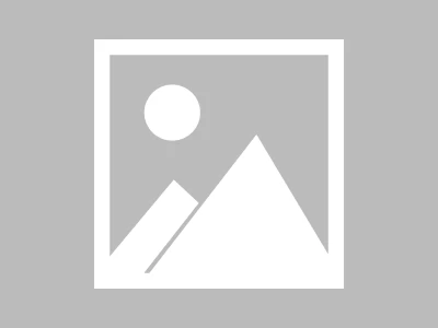 Backlinko 的谷歌 SEO 建议