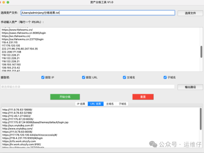 安全资产识别利器：IPanalyzer 工具介绍（开源 | 离线可用）