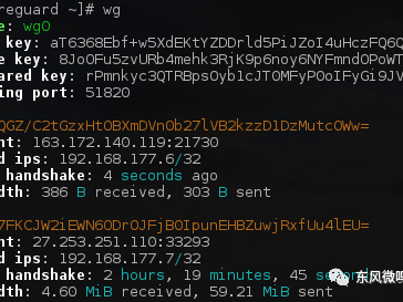 WireGuard 系列文章（四）：WireGuard 快速上手