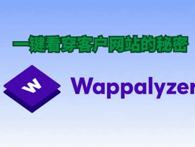你只需要做这一步，就能看破所有网站的秘密！