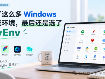 用了这么多 Windows 集成环境，最后还是选了 FlyEnv