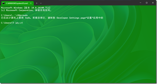sudo-1