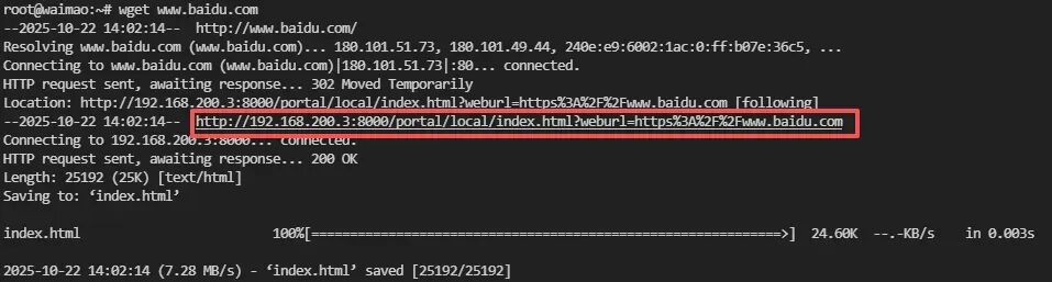 image-20251022150150283