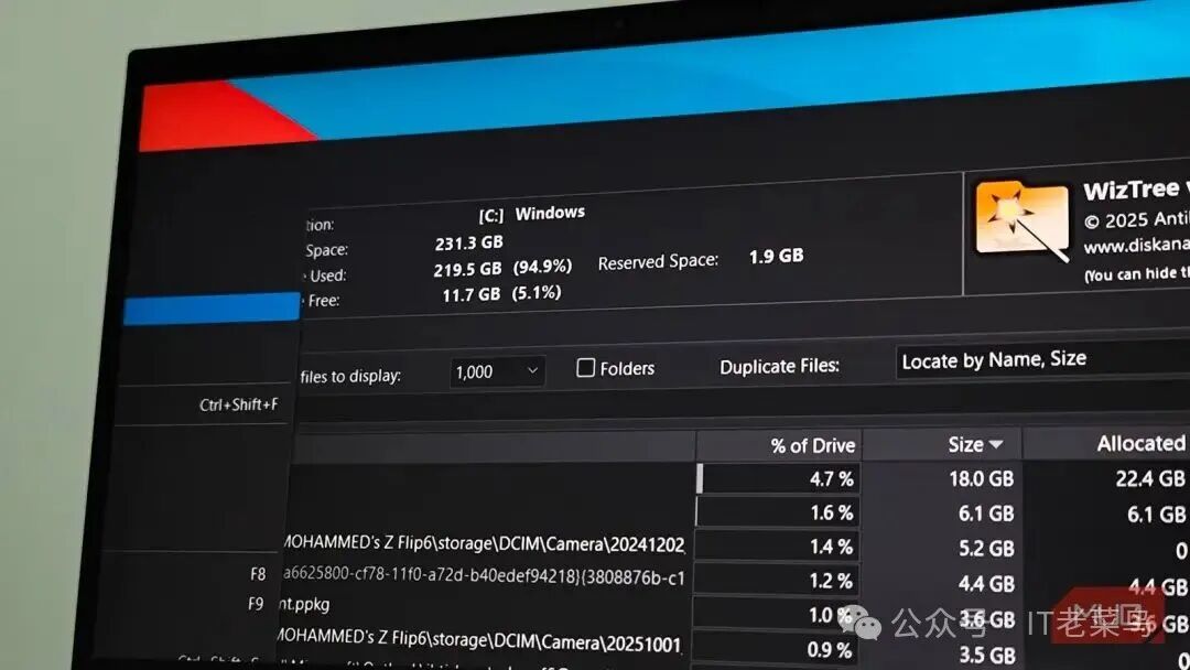 Disk space stats visible on the WizTree app on Windows 11
