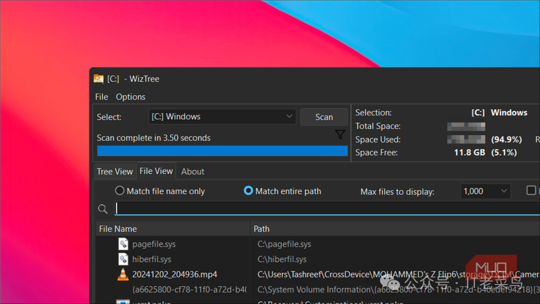 WizTree File View Tab open