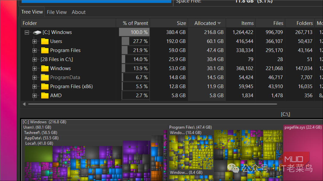 WizTreeTree View tab open