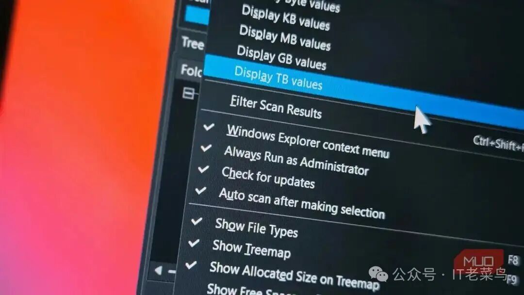 WizTree advanced options menu on WIndows 11