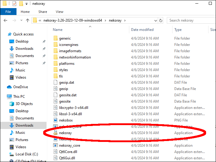 Double-click to start the NekoRay application