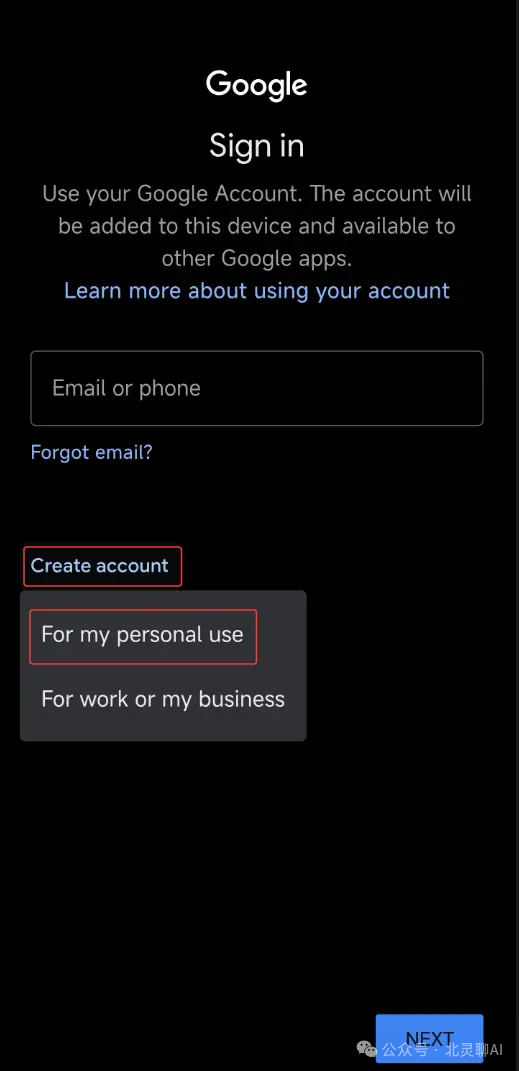 image-20251205224730602