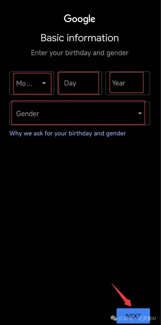 image-20251205224857219